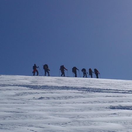 Alpenferienwohnung Strickner Neustift im Stubaital Eksteriør billede