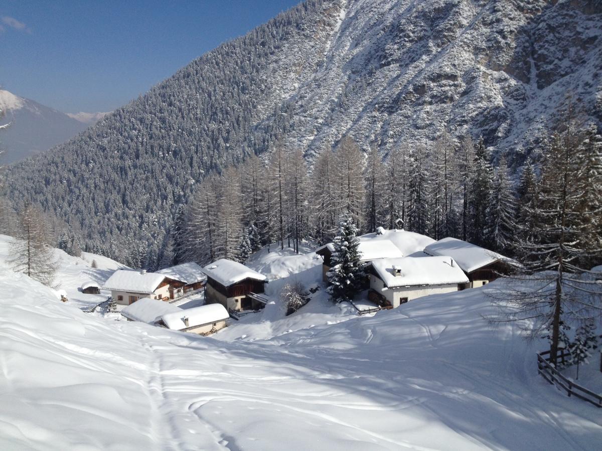 Alpenferienwohnung Strickner Neustift im Stubaital Eksteriør billede