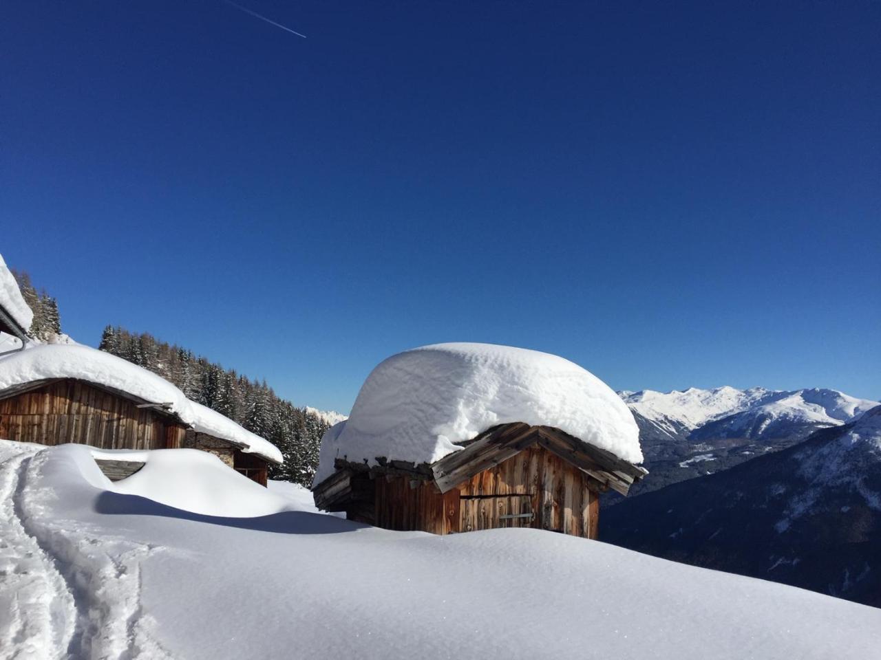 Alpenferienwohnung Strickner Neustift im Stubaital Eksteriør billede